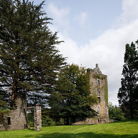 Dripsey Castle Estate Βίλα Κορκ Εξωτερικό φωτογραφία