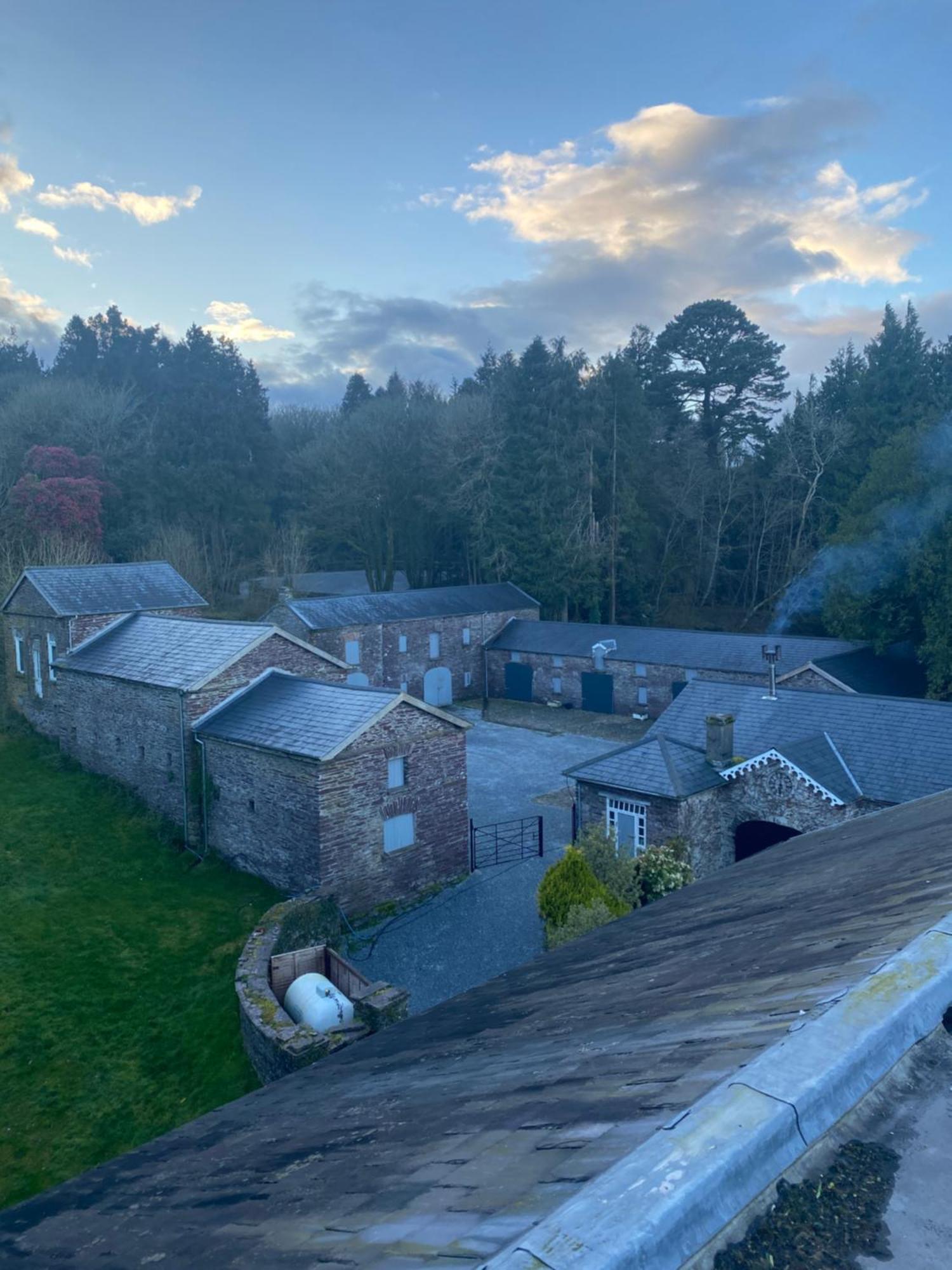 Dripsey Castle Estate Βίλα Κορκ Εξωτερικό φωτογραφία