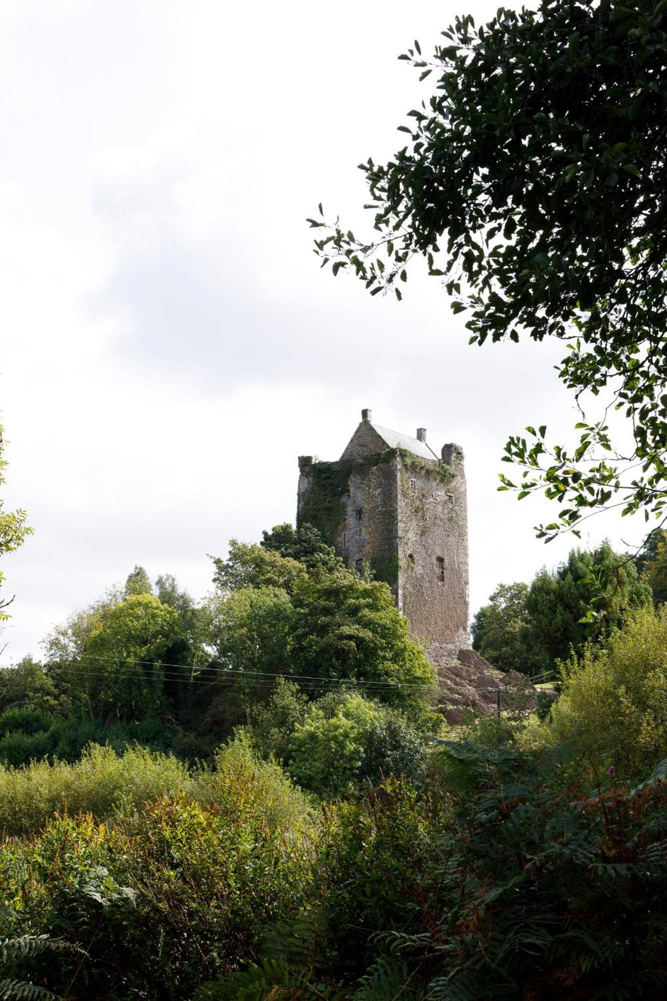 Dripsey Castle Estate Βίλα Κορκ Εξωτερικό φωτογραφία