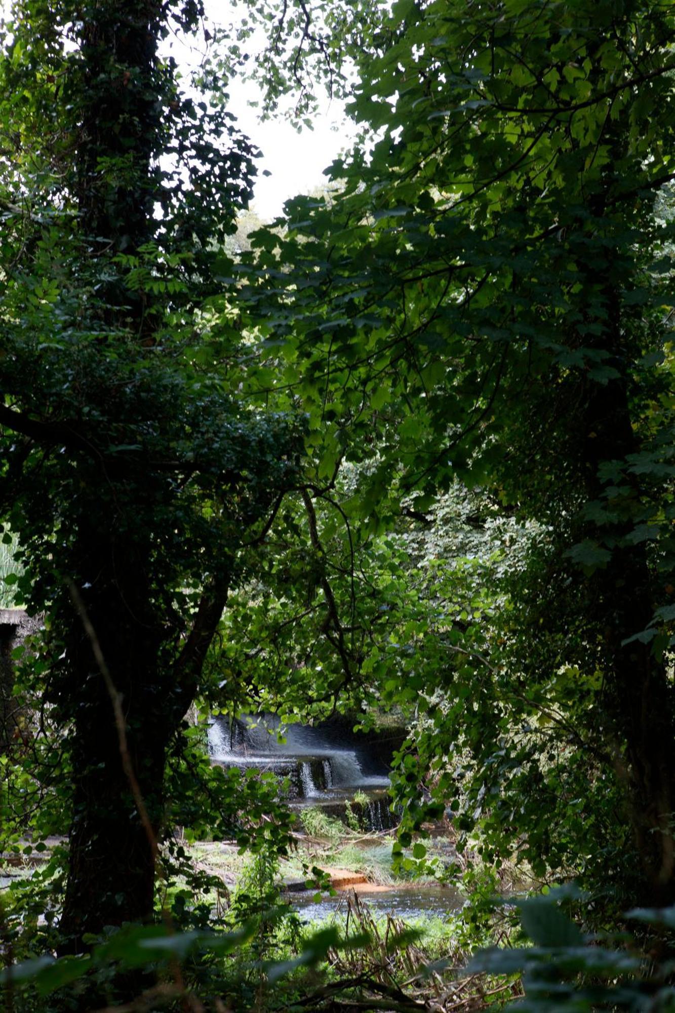 Dripsey Castle Estate Βίλα Κορκ Εξωτερικό φωτογραφία