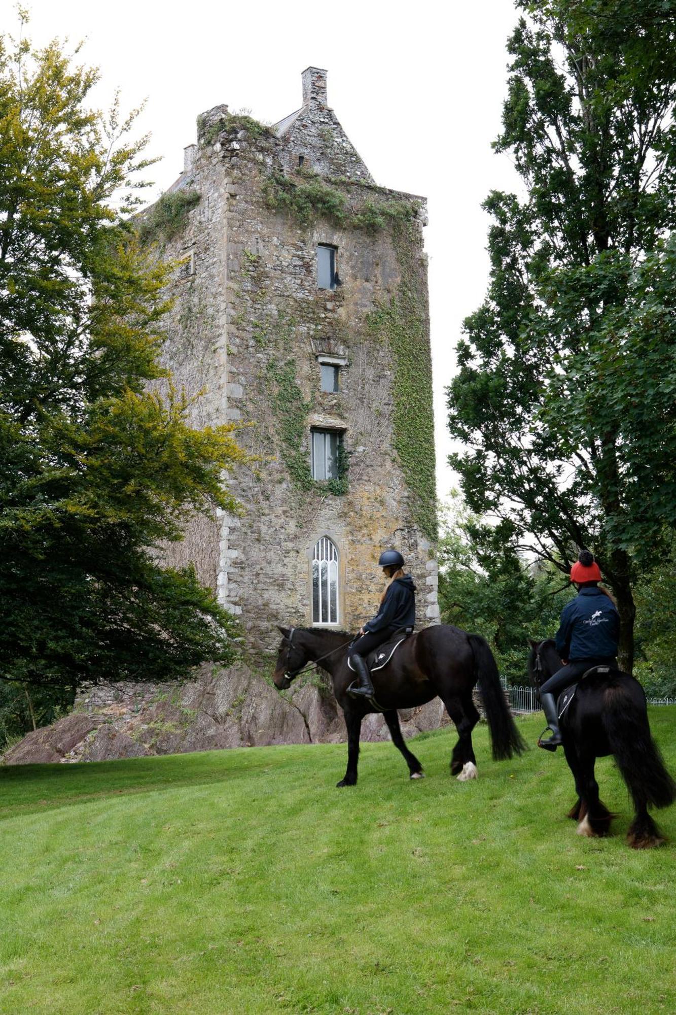 Dripsey Castle Estate Βίλα Κορκ Εξωτερικό φωτογραφία