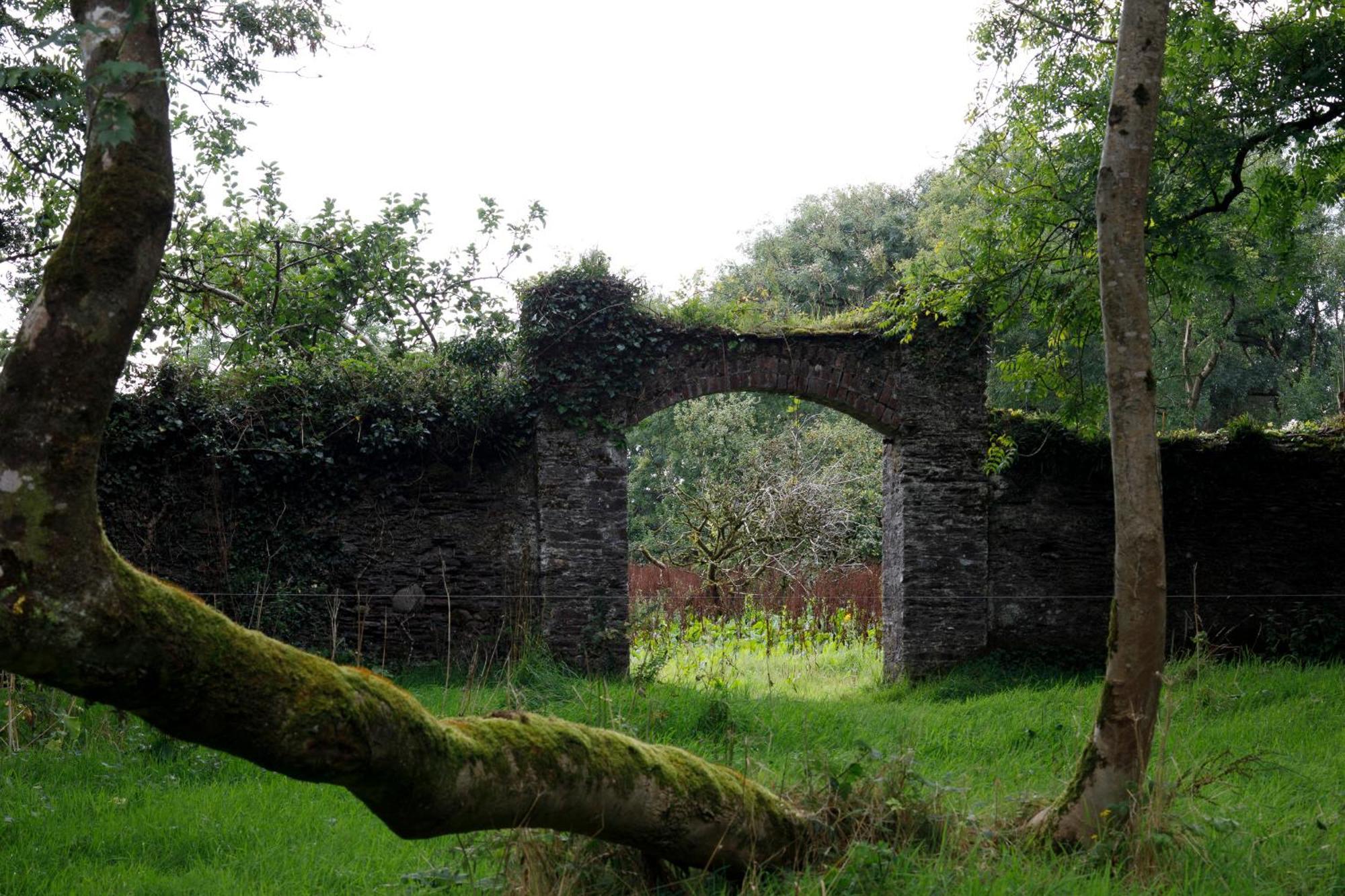 Dripsey Castle Estate Βίλα Κορκ Εξωτερικό φωτογραφία