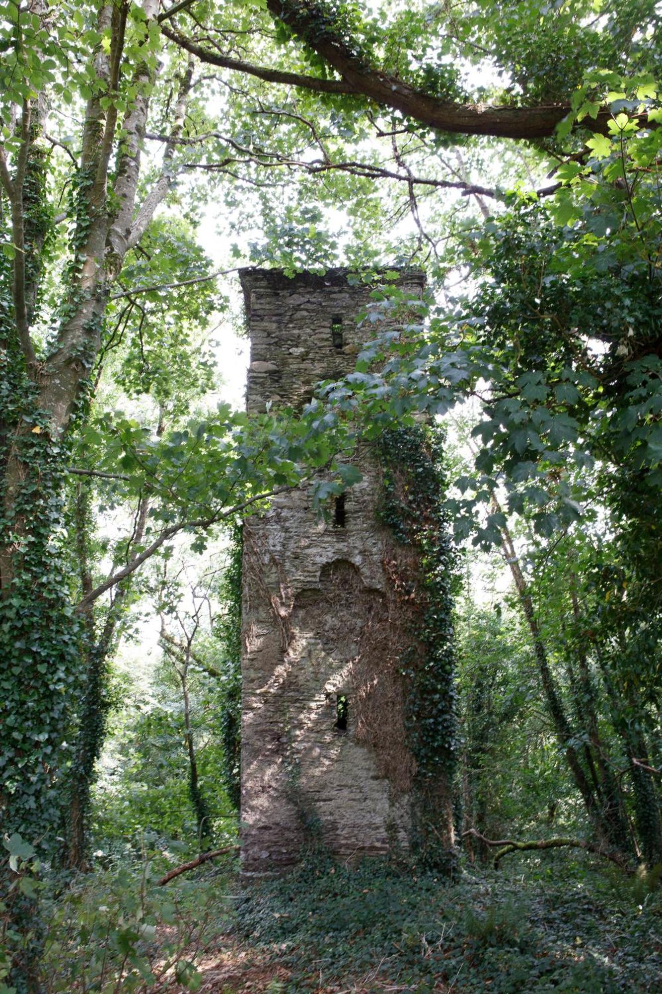 Dripsey Castle Estate Βίλα Κορκ Εξωτερικό φωτογραφία