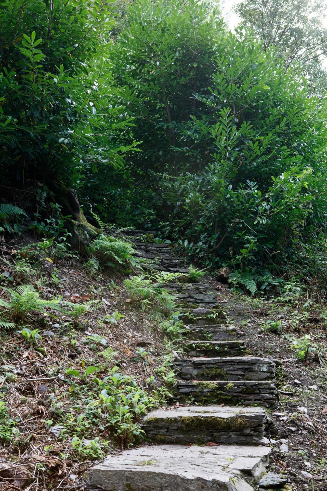 Dripsey Castle Estate Βίλα Κορκ Εξωτερικό φωτογραφία