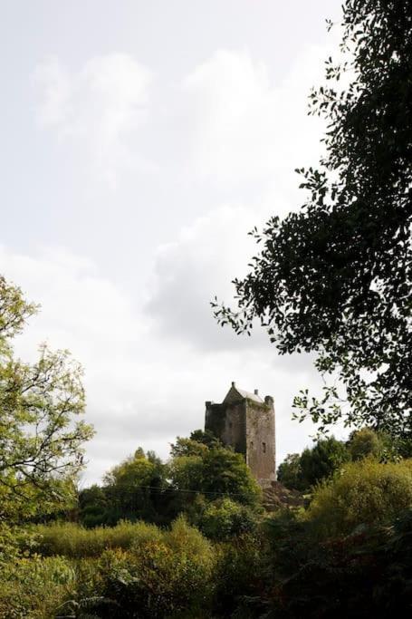 Dripsey Castle Estate Βίλα Κορκ Εξωτερικό φωτογραφία